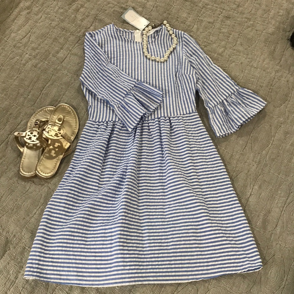 NWT adorable seersucker dress with ruffle sleeves